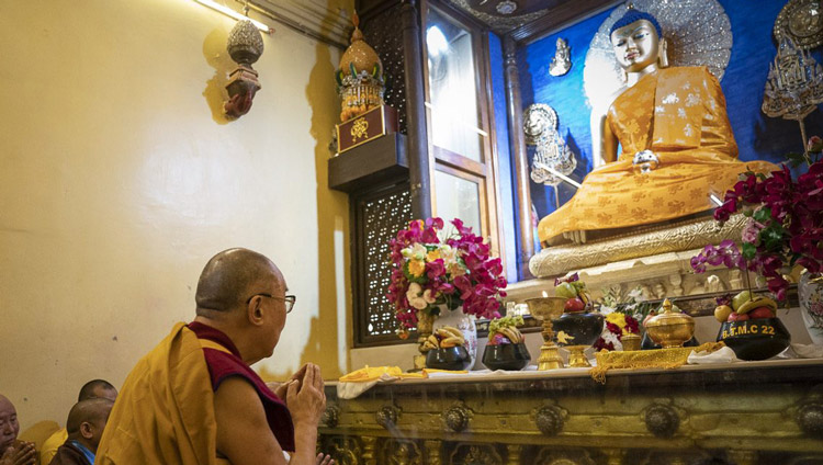 マハーボーディ寺院で仏陀釈迦牟尼像に礼拝されるダライ・ラマ法王。2020年1月17日、インド、ビハール州ブッダガヤ（撮影：テンジン・チュンジョル / 法王庁）